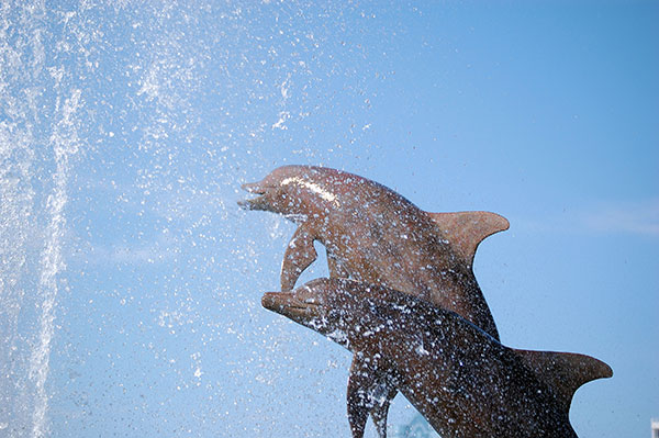 Arts Attractions on the Florida Gulf Coast Dolphin Statue in Downtown Sarasota